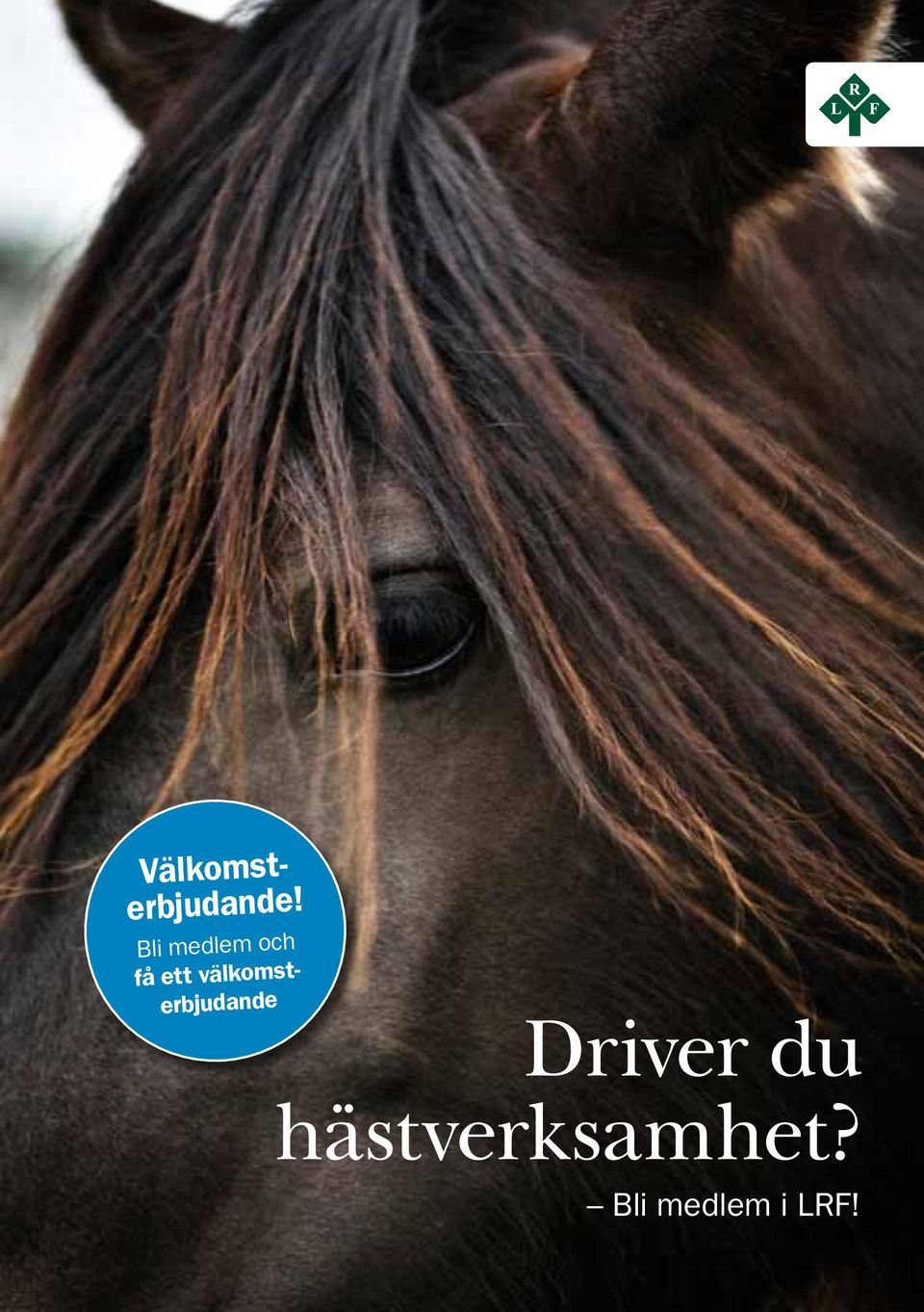 välkomsterbjudande Driver