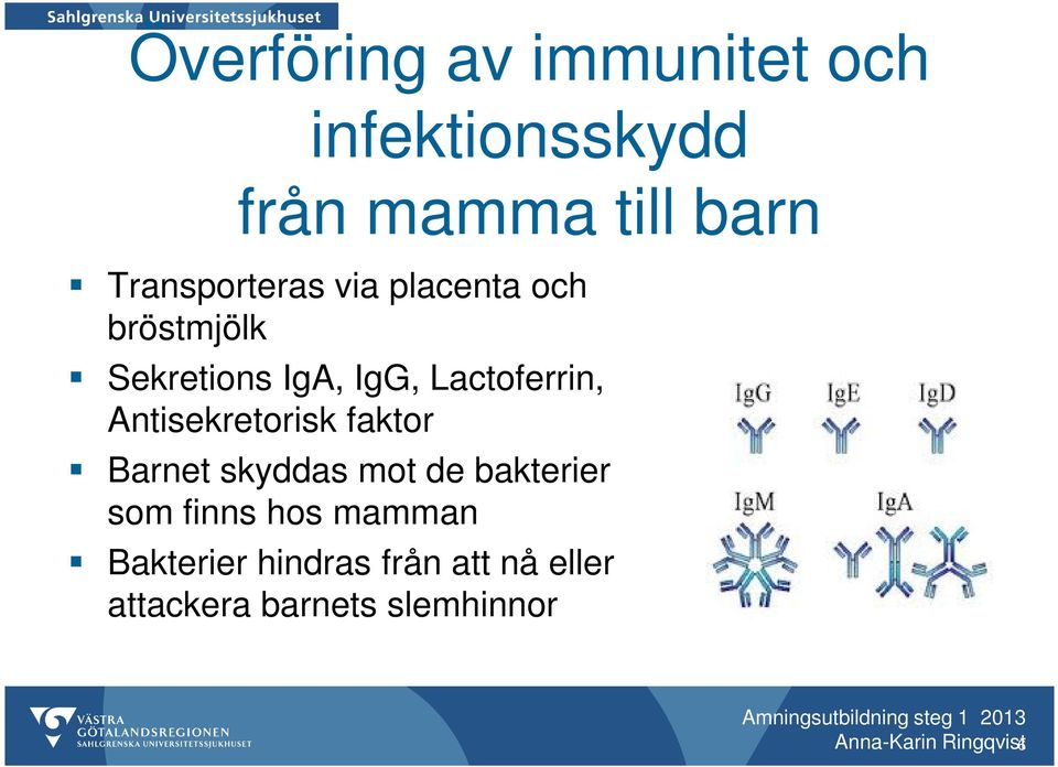 Antisekretorisk faktor Barnet skyddas mot de bakterier som finns hos mamman