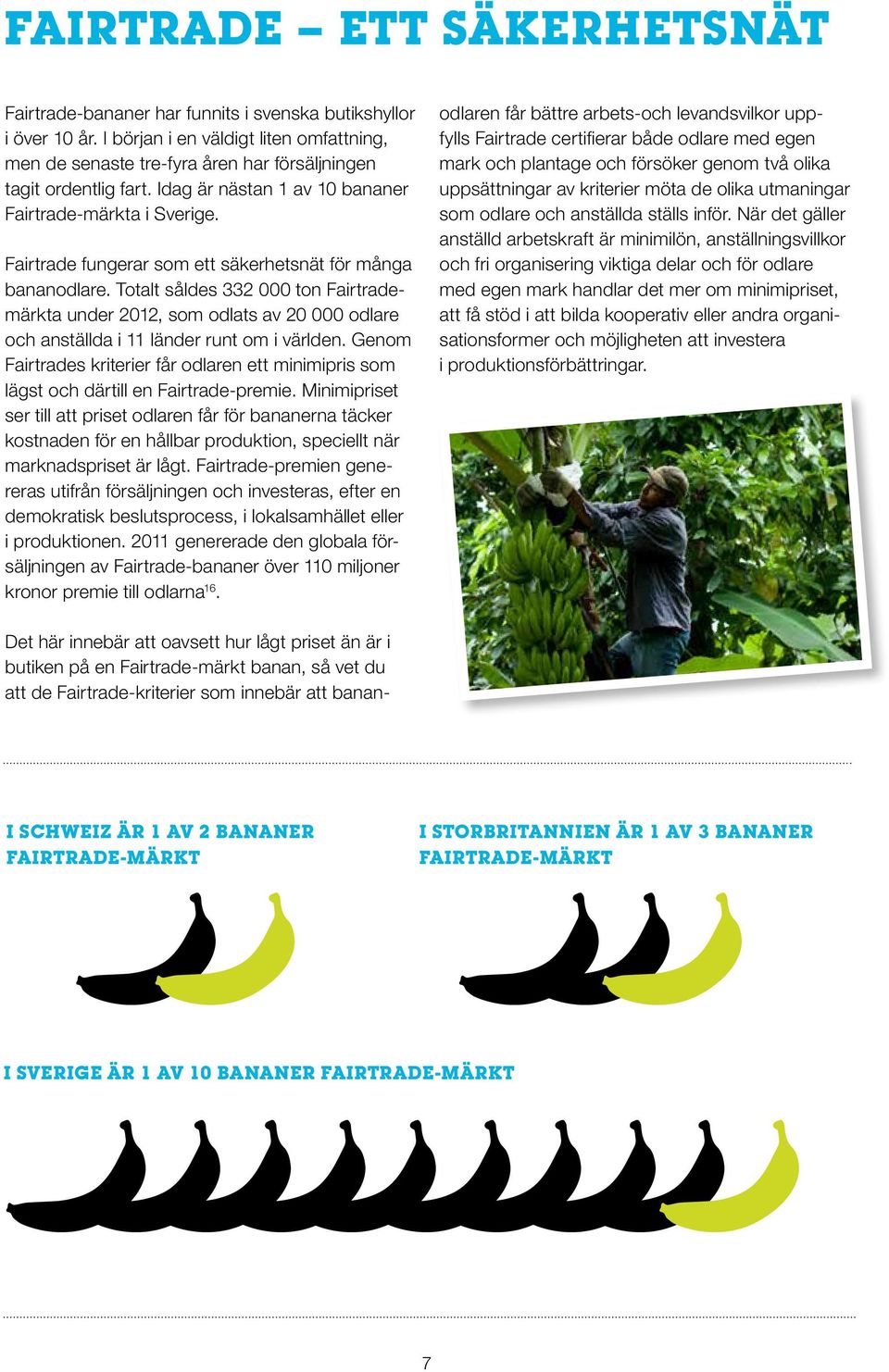 Fairtrade fungerar som ett säkerhetsnät för många bananodlare. Totalt såldes 332 000 ton Fairtrademärkta under 2012, som odlats av 20 000 odlare och anställda i 11 länder runt om i världen.