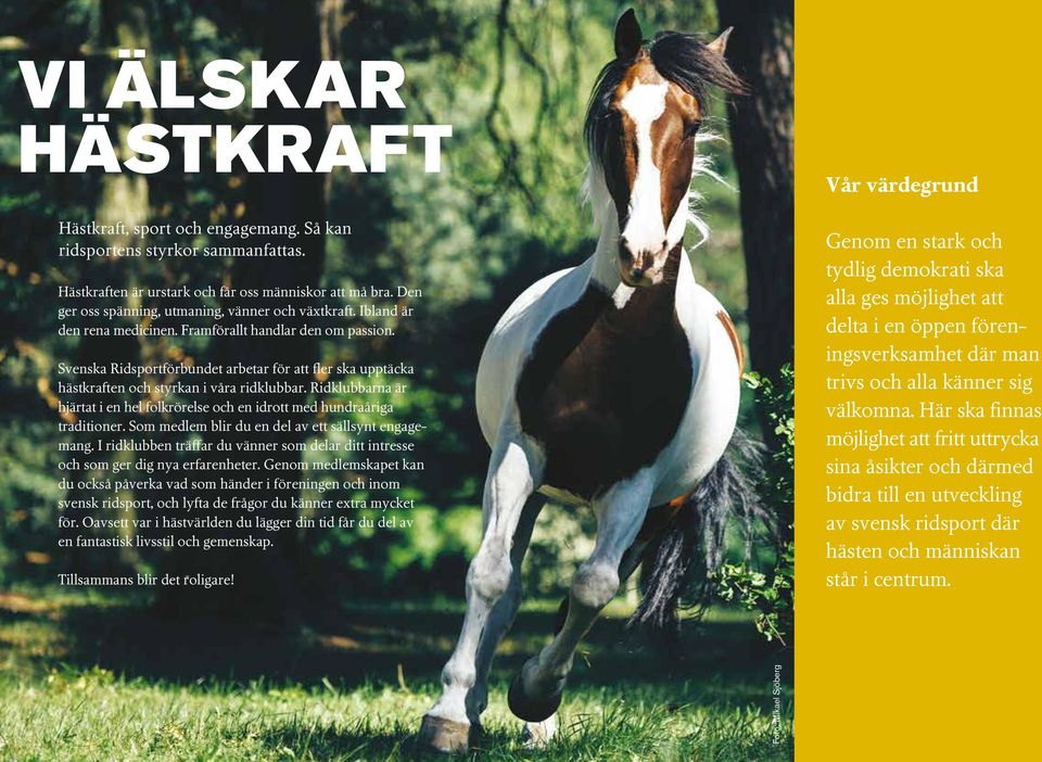 Svenska Ridsportförbundet arbetar för att fler ska upptäcka hästkraften och styrkan i våra ridklubbar. Ridklubbarna är hjärtat i en hel folkrörelse och en idrott med hundraåriga traditioner.