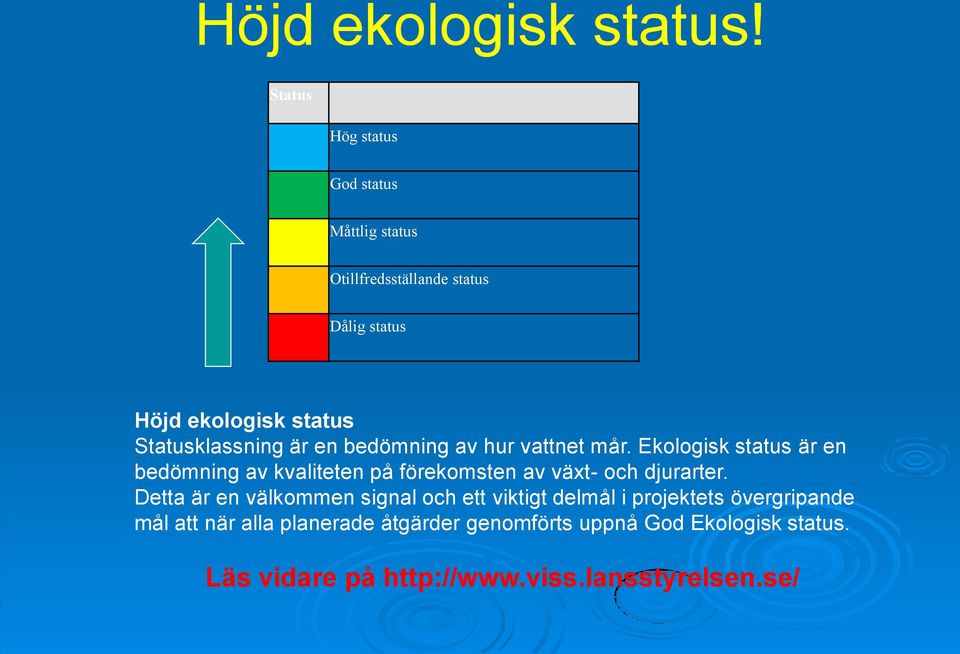 Statusklassning är en bedömning av hur vattnet mår.