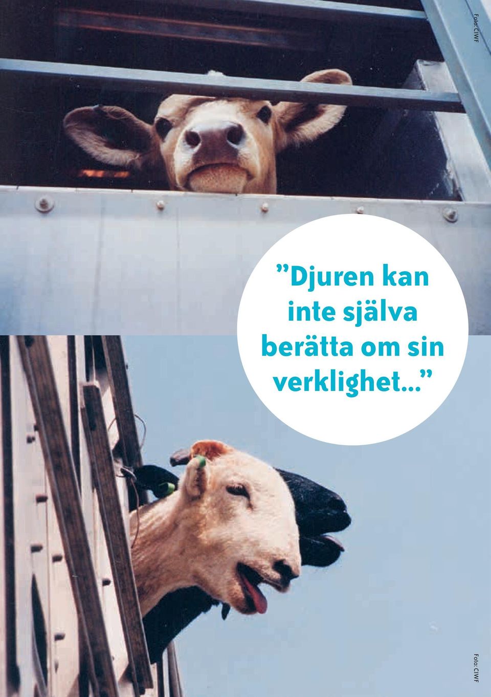 sin verklighet.