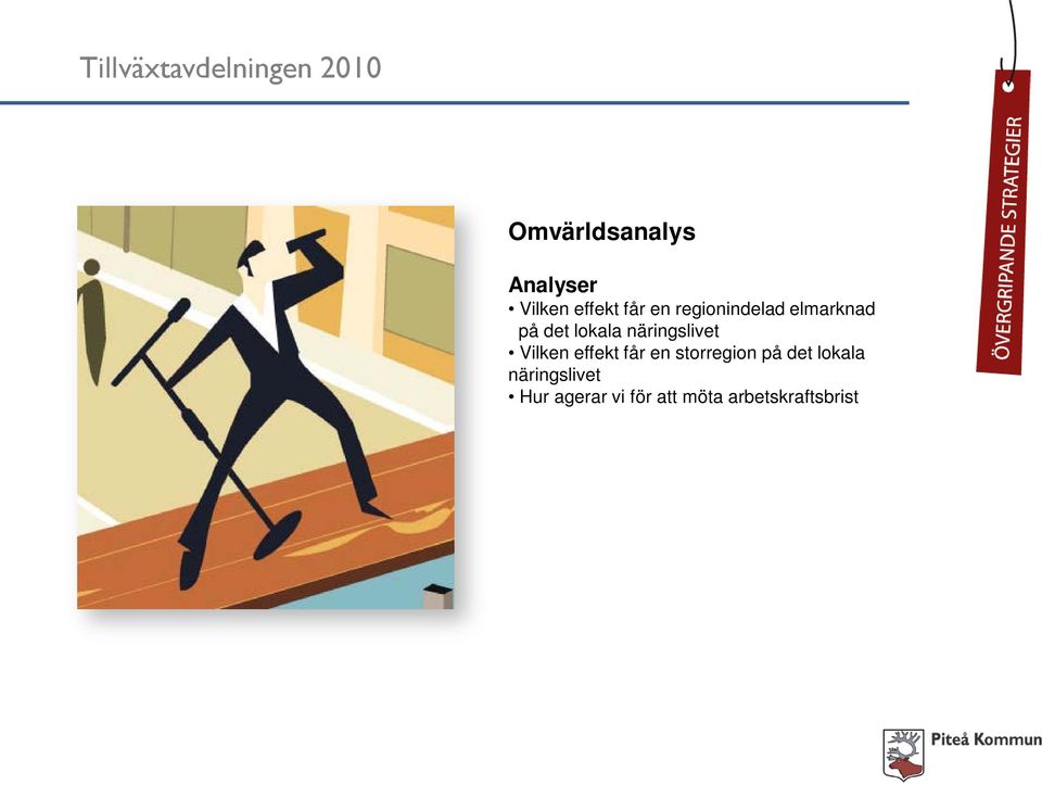 näringslivet Vilken effekt får en storregion på