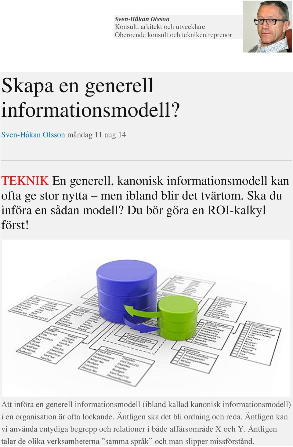 Ska du införa en sådan modell? Du bör göra en ROI-kalkyl först!