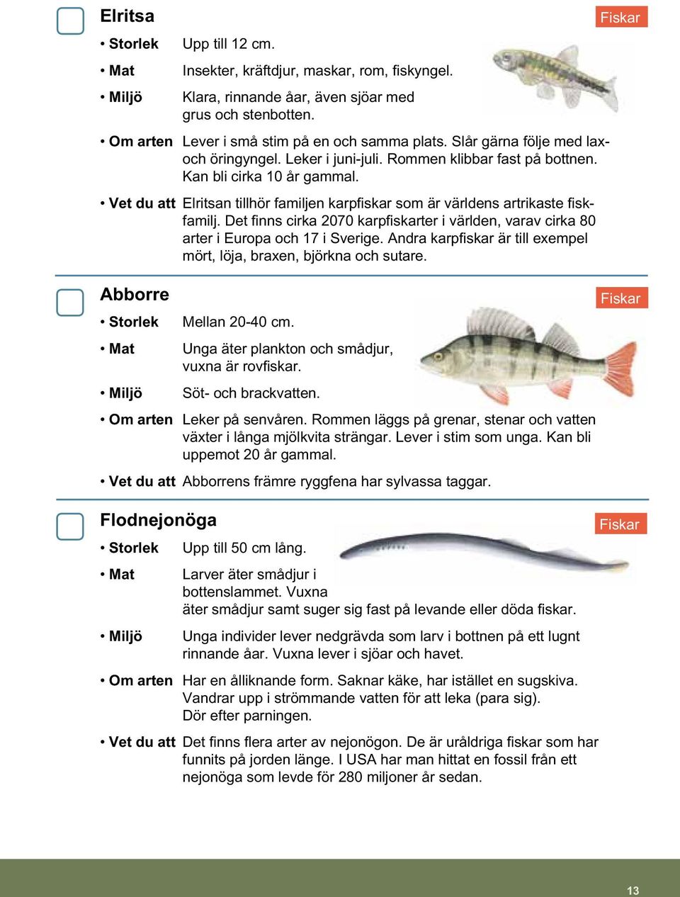 Vet du att Elritsan tillhör familjen karpfiskar som är världens artrikaste fiskfamilj. Det finns cirka 2070 karpfiskarter i världen, varav cirka 80 arter i Europa och 17 i Sverige.