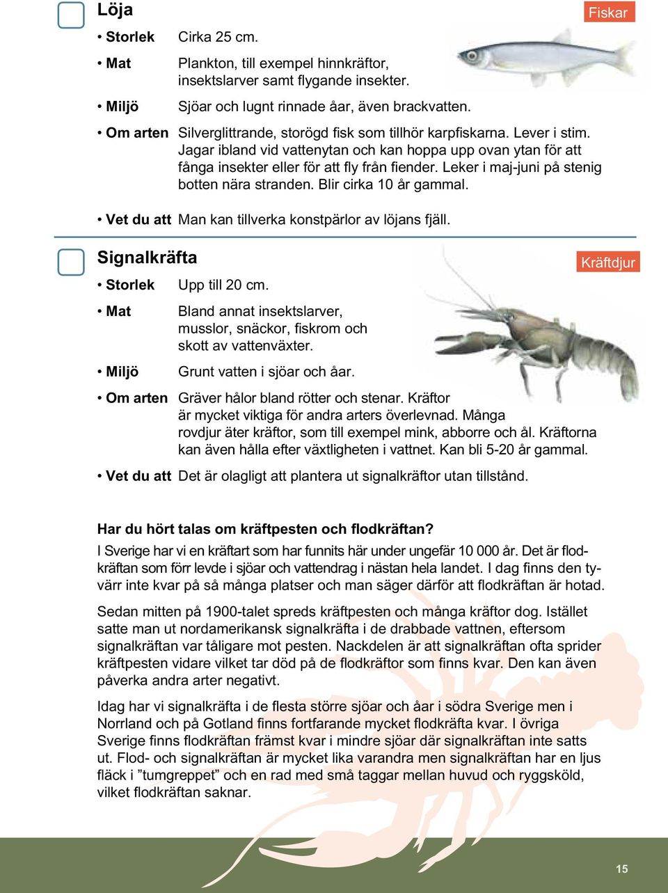 Leker i maj-juni på stenig botten nära stranden. Blir cirka 10 år gammal. Vet du att Man kan tillverka konstpärlor av löjans fjäll. Signalkräfta Upp till 20 cm.