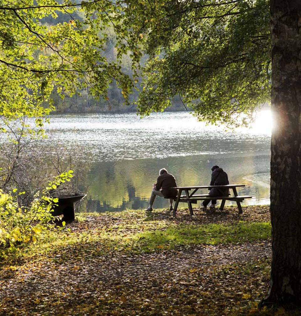 beroendevården