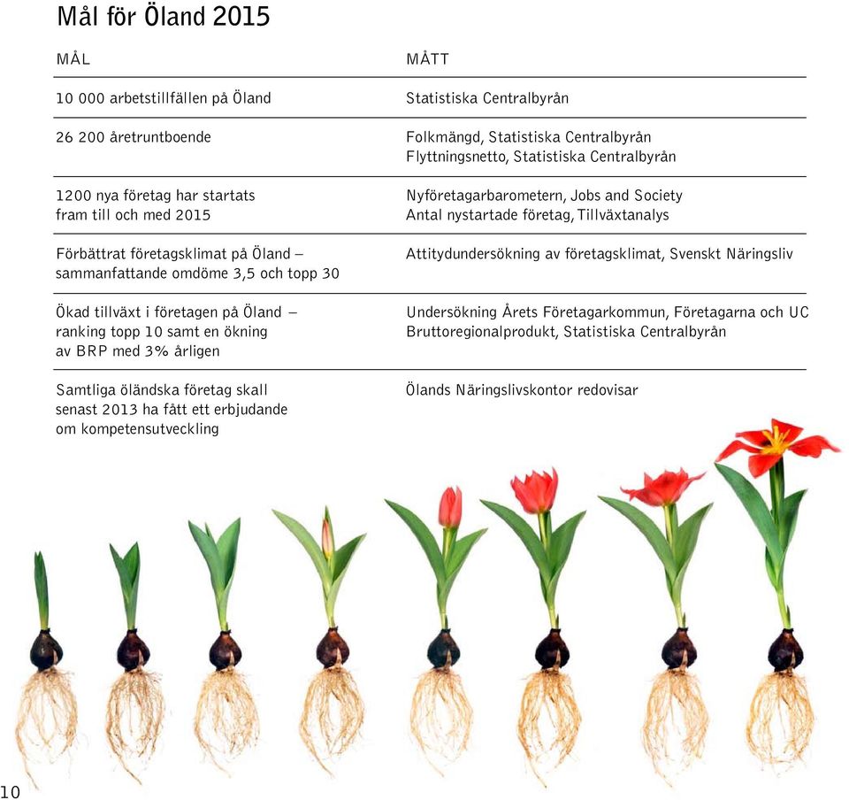 och topp 30 Ökad tillväxt i företagen på Öland ranking topp 10 samt en ökning av BRP med 3% årligen Samtliga öländska företag skall senast 2013 ha fått ett erbjudande om kompetensutveckling