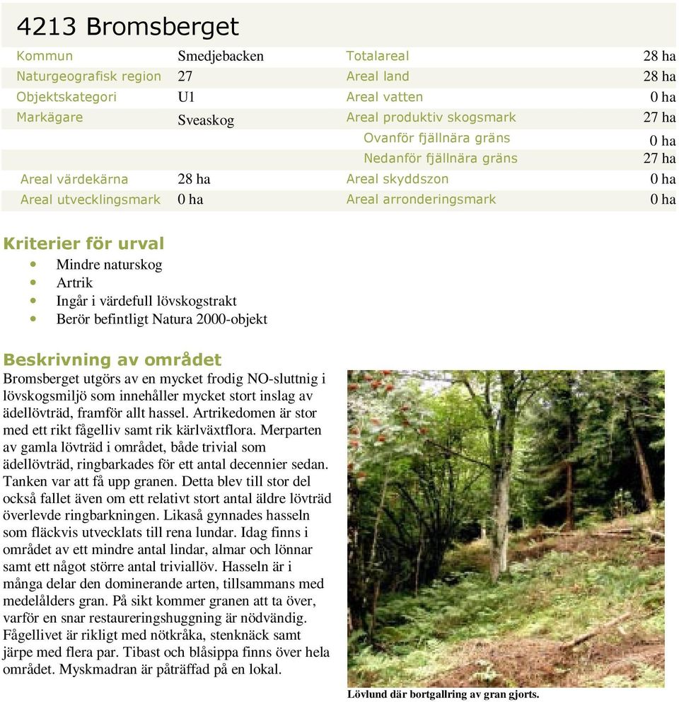 i värdefull lövskogstrakt Berör befintligt Natura 2000-objekt Beskrivning av området Bromsberget utgörs av en mycket frodig NO-sluttnig i lövskogsmiljö som innehåller mycket stort inslag av