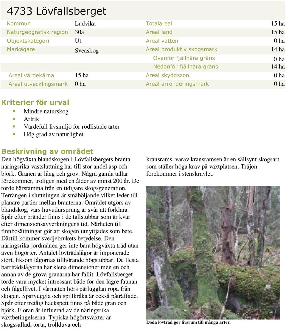 Värdefull livsmiljö för rödlistade arter Hög grad av naturlighet Beskrivning av området Den högväxta blandskogen i Lövfallsbergets branta näringsrika västsluttning har till stor andel asp och björk.