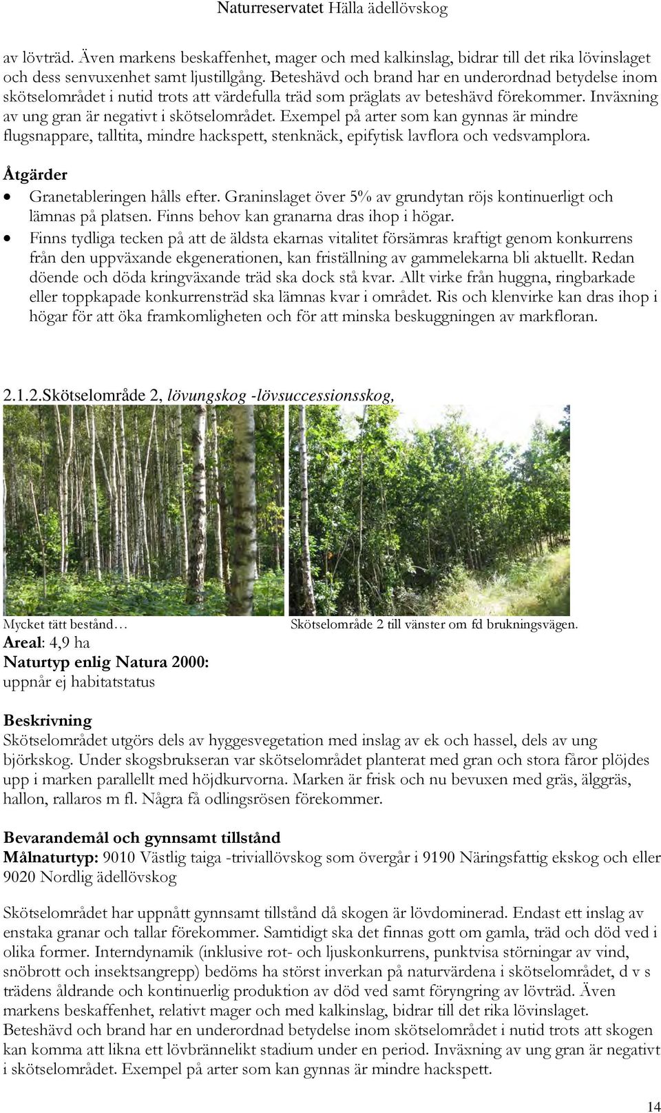 Exempel på arter som kan gynnas är mindre flugsnappare, talltita, mindre hackspett, stenknäck, epifytisk lavflora och vedsvamplora. Åtgärder Granetableringen hålls efter.