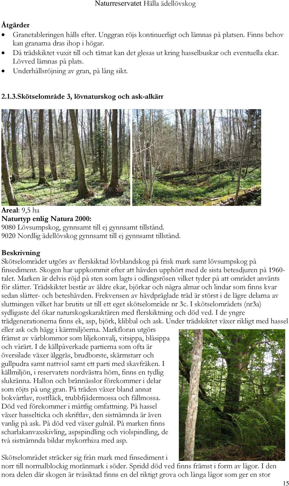 Skötselområde 3, lövnaturskog och ask-alkärr Areal: 9,5 ha Naturtyp enlig Natura 2000: 9080 Lövsumpskog, gynnsamt till ej gynnsamt tillstånd.