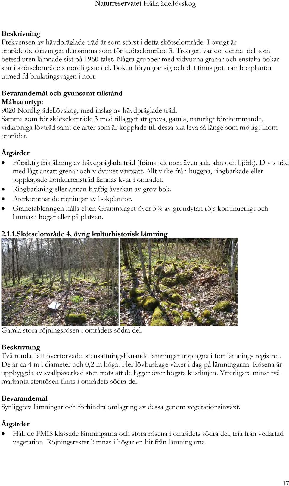 Boken föryngrar sig och det finns gott om bokplantor utmed fd brukningsvägen i norr. Bevarandemål och gynnsamt tillstånd Målnaturtyp: 9020 Nordlig ädellövskog, med inslag av hävdpräglade träd.