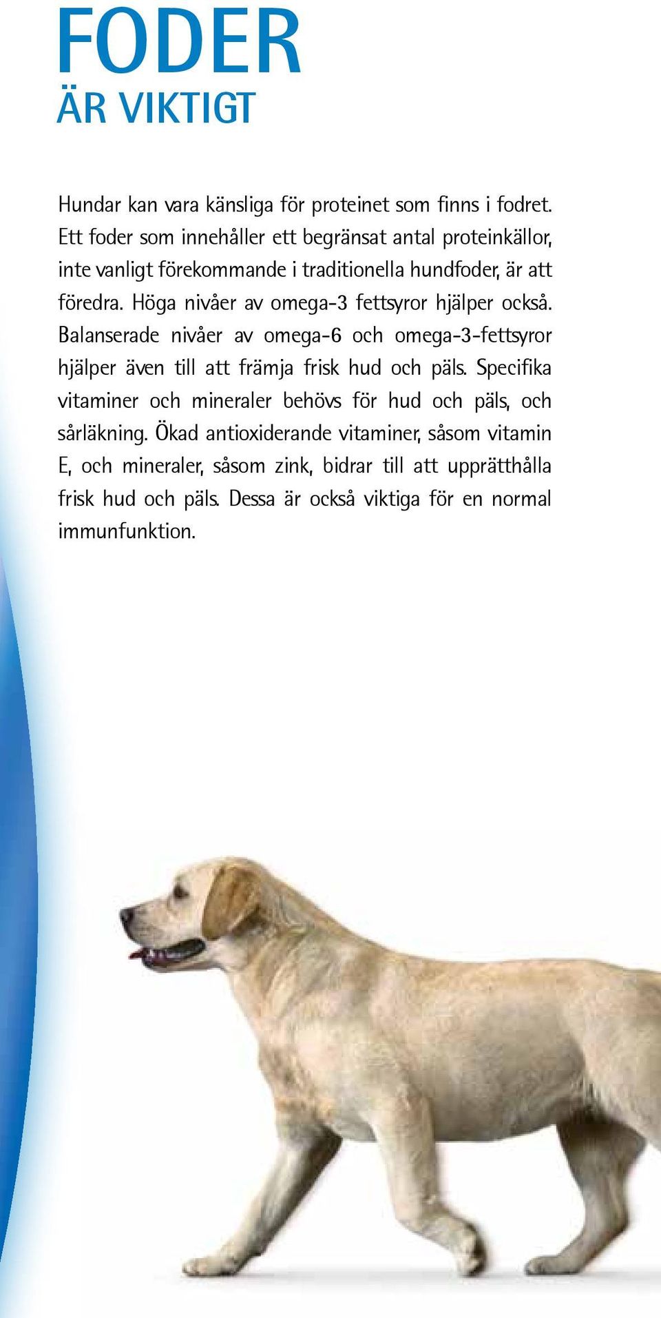 Höga nivåer av omega-3 fettsyror hjälper också. Balanserade nivåer av omega-6 och omega-3-fettsyror hjälper även till att främja frisk hud och päls.