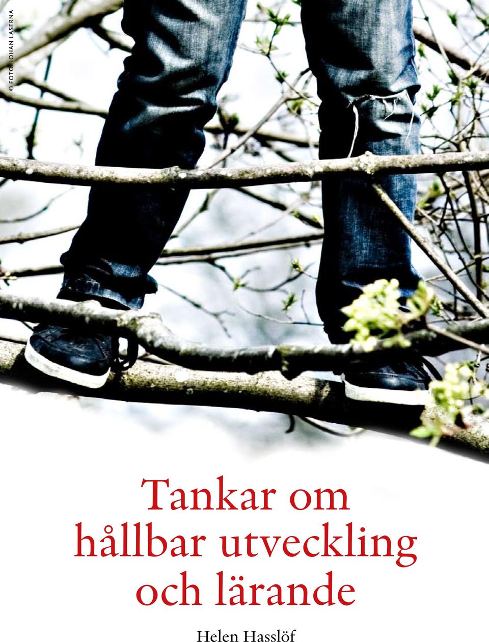 hållbar utveckling