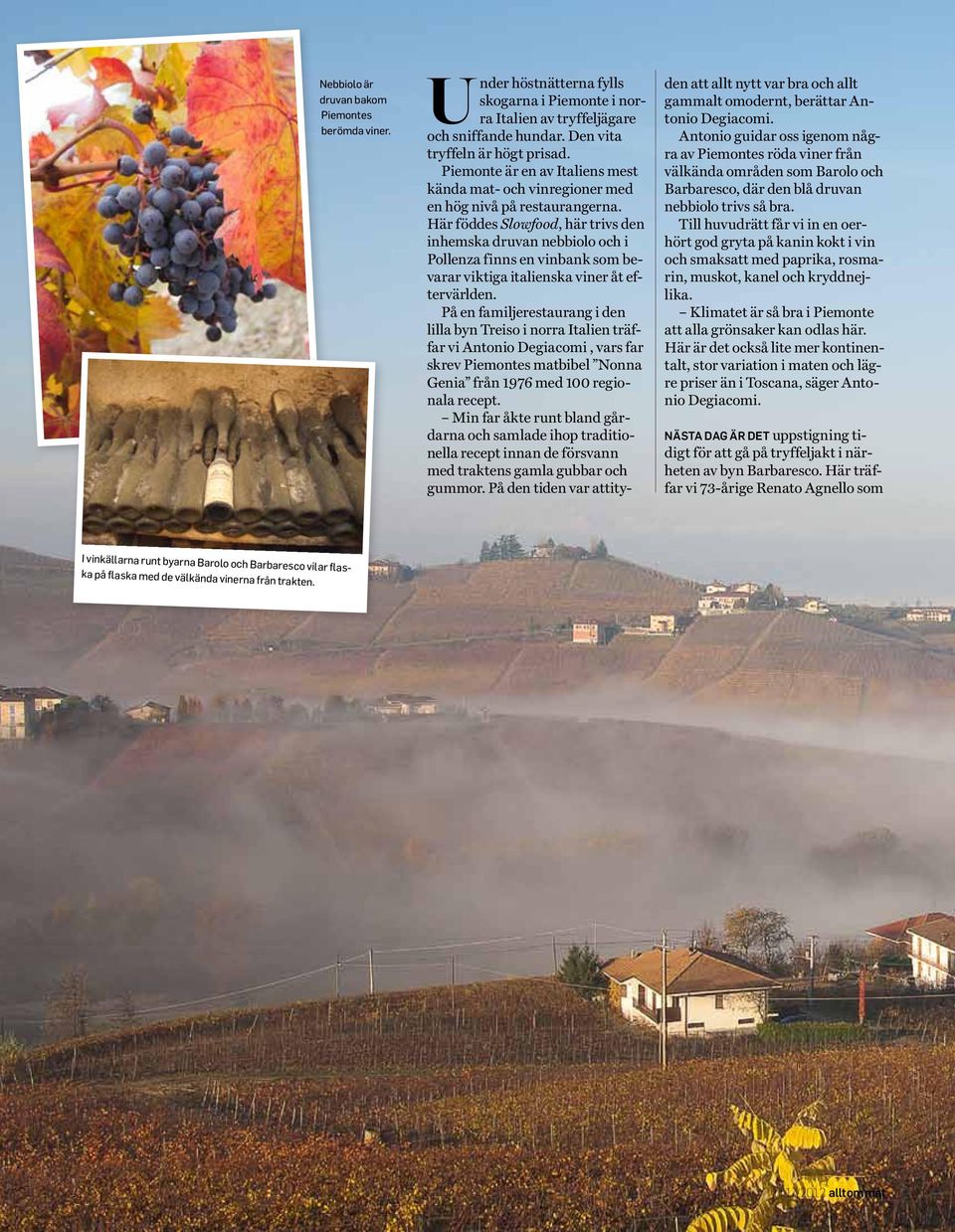 Här föddes Slowfood, här trivs den inhemska druvan nebbiolo och i Pollenza finns en vinbank som bevarar viktiga italienska viner åt eftervärlden.