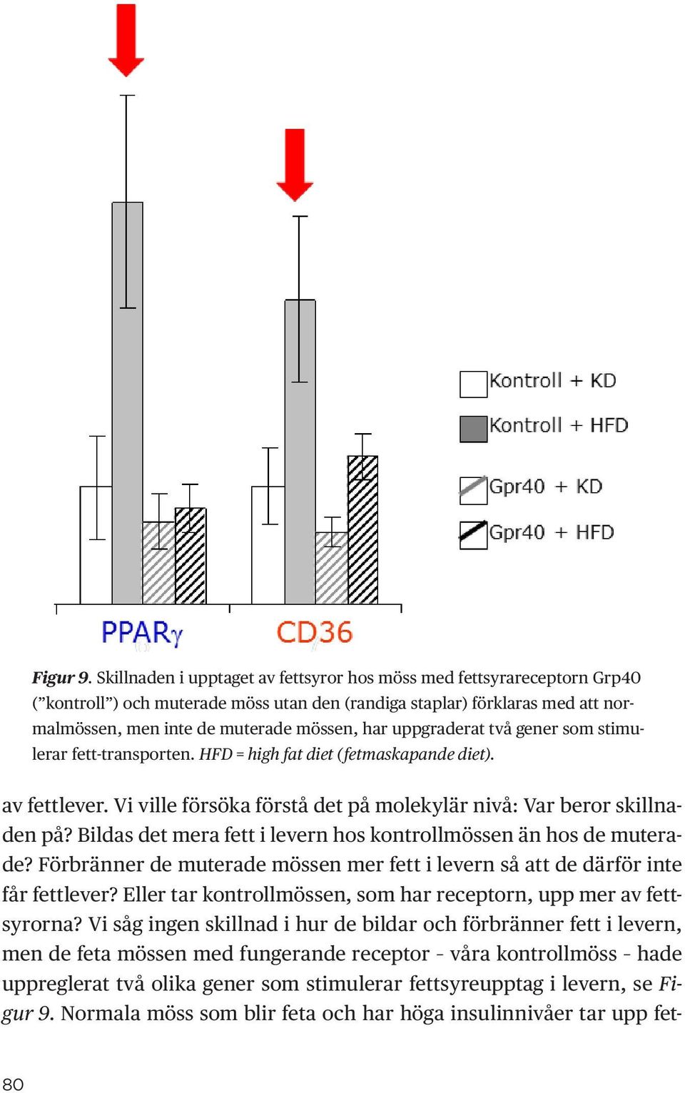 uppgraderat två gener som stimulerar fett-transporten. HFD = high fat diet (fetmaskapande diet). av fettlever. Vi ville försöka förstå det på molekylär nivå: Var beror skillnaden på?