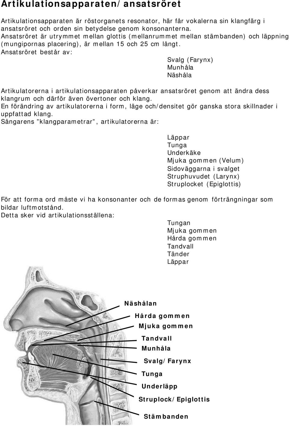 Ansatsröret består av: Svalg (Farynx) Munhåla Näshåla Artikulatorerna i artikulationsapparaten påverkar ansatsröret genom att ändra dess klangrum och därför även övertoner och klang.