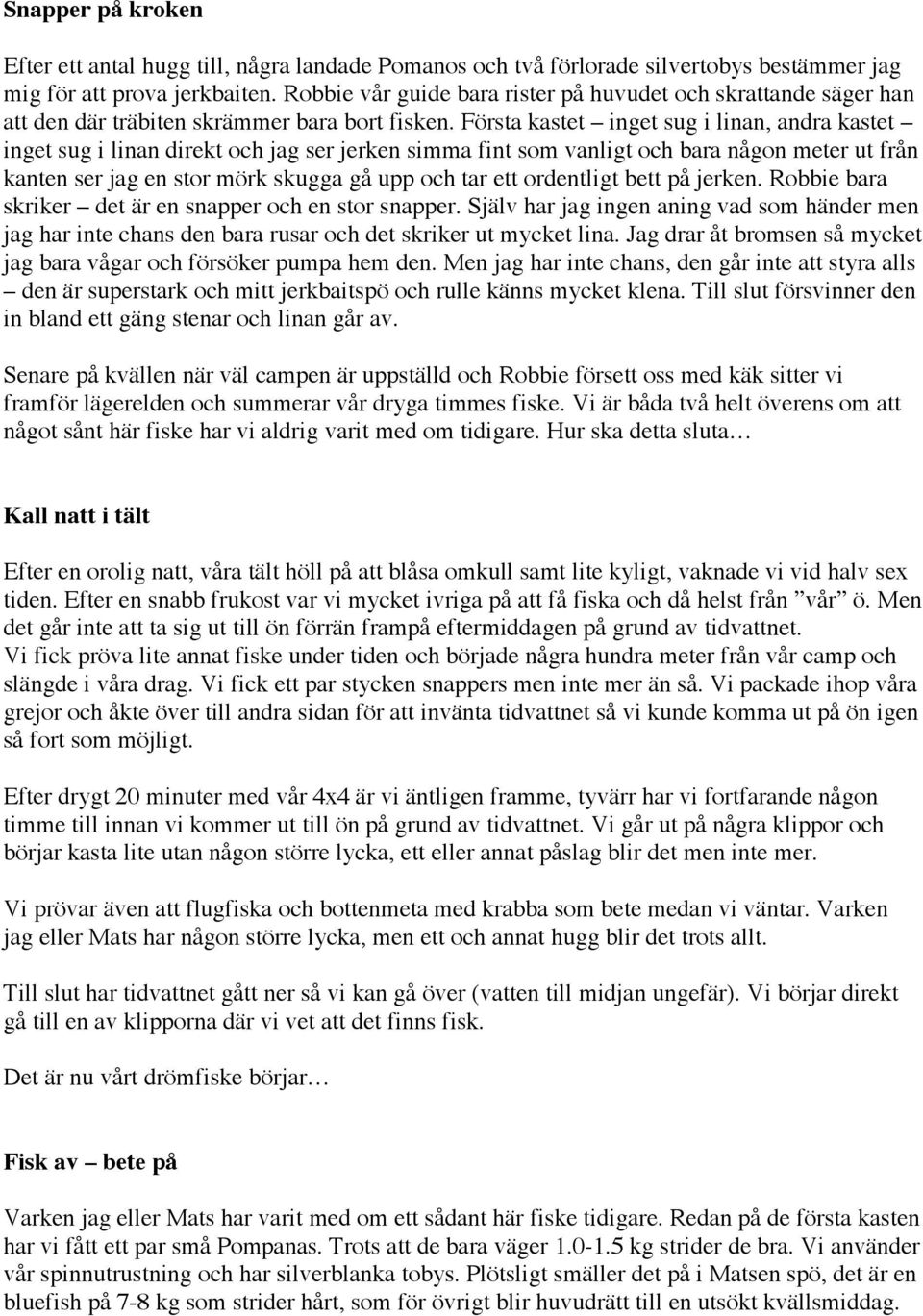 Första kastet inget sug i linan, andra kastet inget sug i linan direkt och jag ser jerken simma fint som vanligt och bara någon meter ut från kanten ser jag en stor mörk skugga gå upp och tar ett