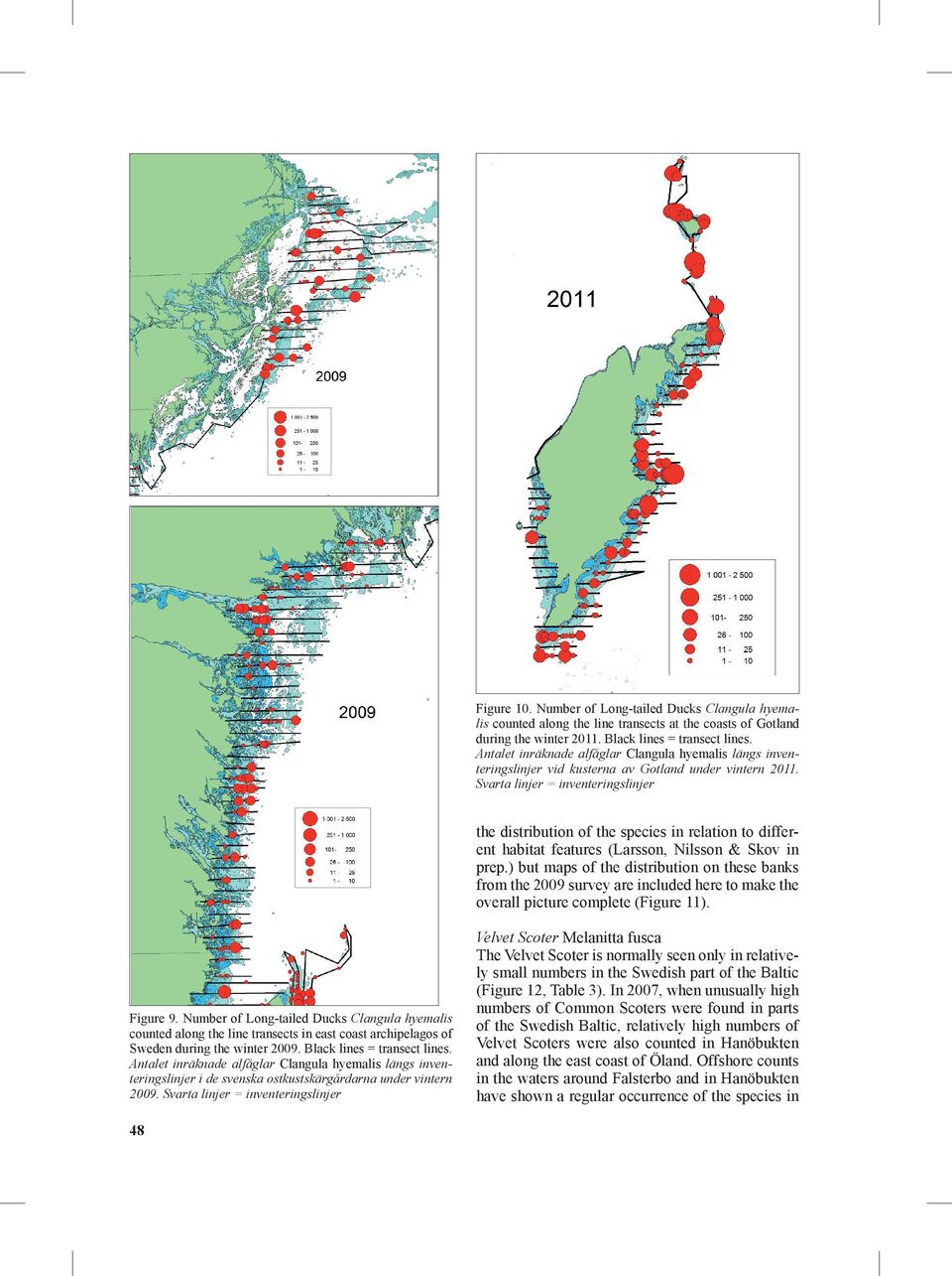 Svarta linjer = inventeringslinjer the distribution of the species in relation to different habitat features (Larsson, Nilsson & Skov in prep.