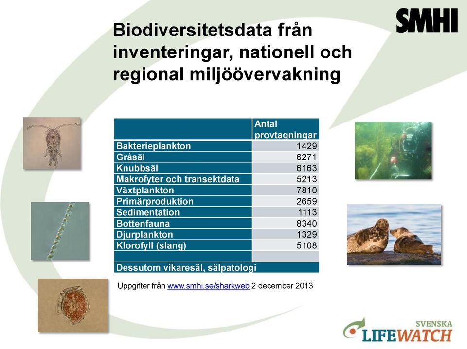 Växtplankton 7810 Primärproduktion 2659 Sedimentation 1113 Bottenfauna 8340 Djurplankton 1329