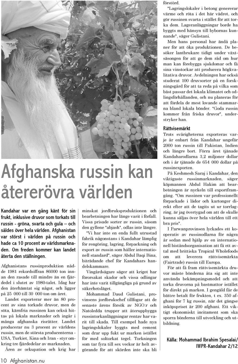 Afghanistans russinproduktion nådde 1981 rekordsiffran 86000 ton innan den rasade till mindre än en fjärdedel i slutet av 1980-talet.
