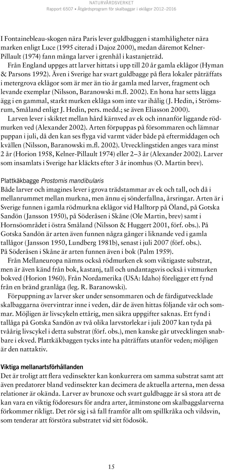 Även i Sverige har svart guldbagge på flera lokaler påträffats i metergrova eklågor som är mer än tio år gamla med larver, fragment och levande exemplar (Nilsson, Baranowski m.fl. 2002).