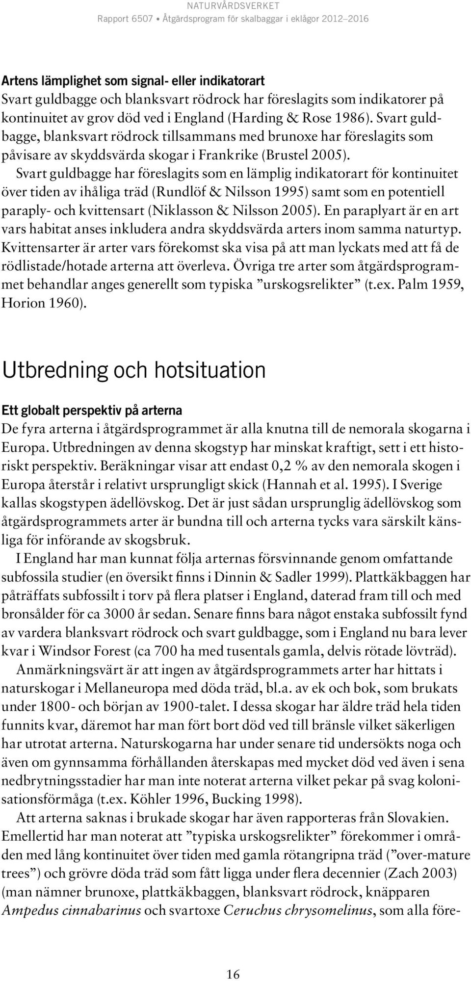 Svart guldbagge har föreslagits som en lämplig indikatorart för kontinuitet över tiden av ihåliga träd (Rundlöf & Nilsson 1995) samt som en potentiell paraply- och kvittensart (Niklasson & Nilsson