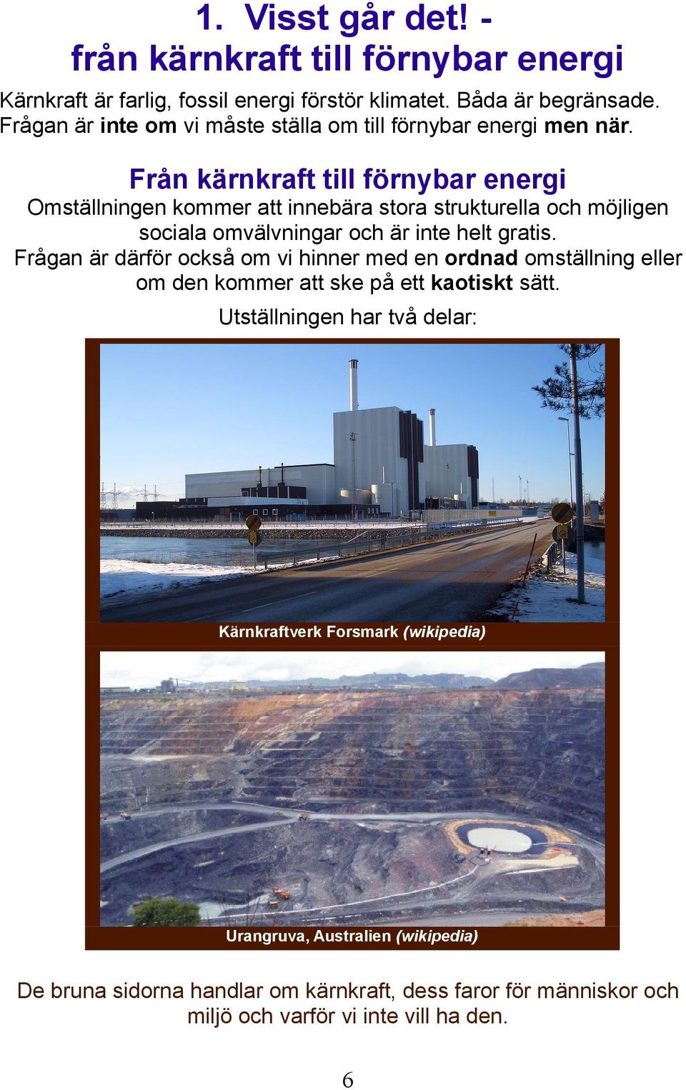 Från kärnkraft till förnybar energi Omställningen kommer att innebära stora strukturella och möjligen sociala omvälvningar och är inte helt gratis.