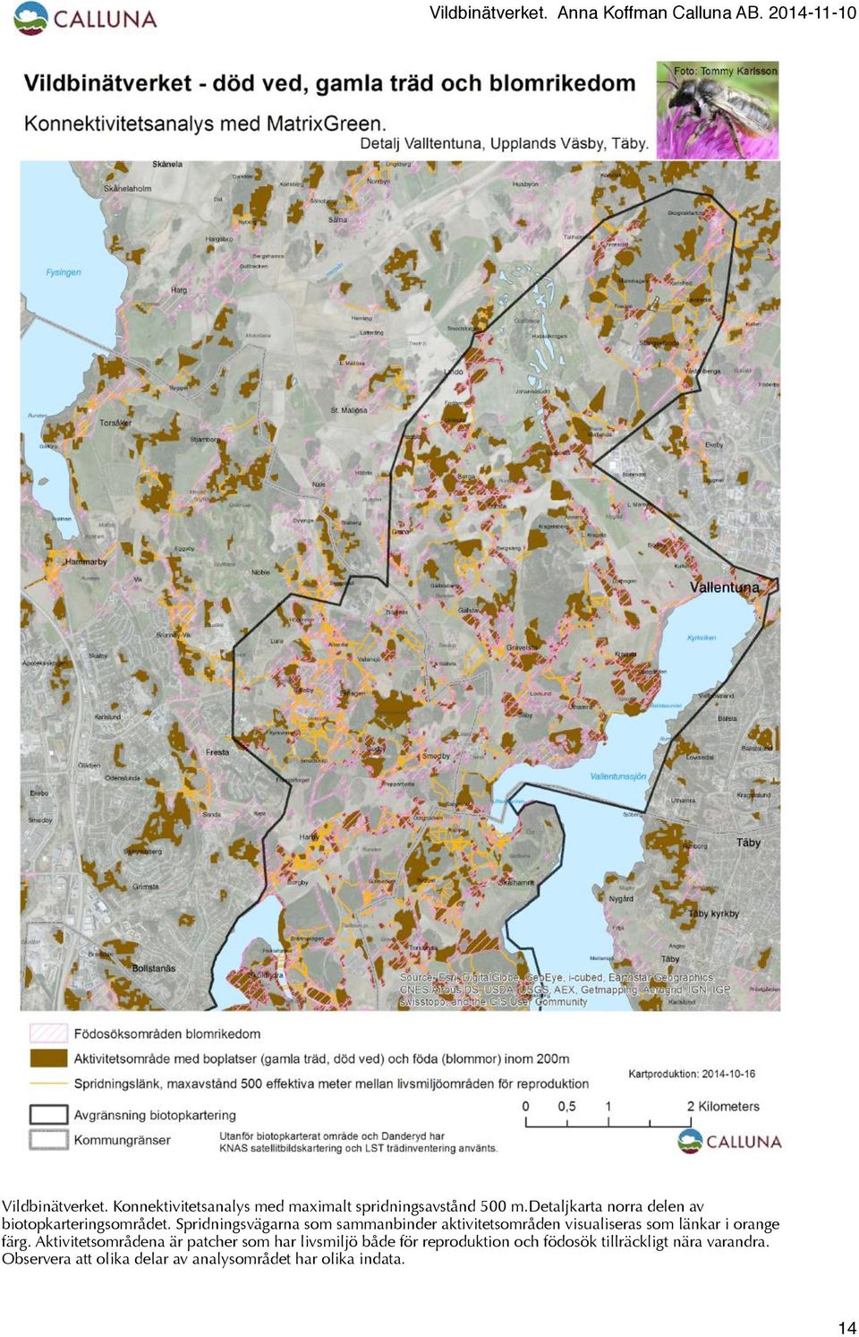 Spridningsvägarna som sammanbinder aktivitetsområden visualiseras som länkar i orange färg.