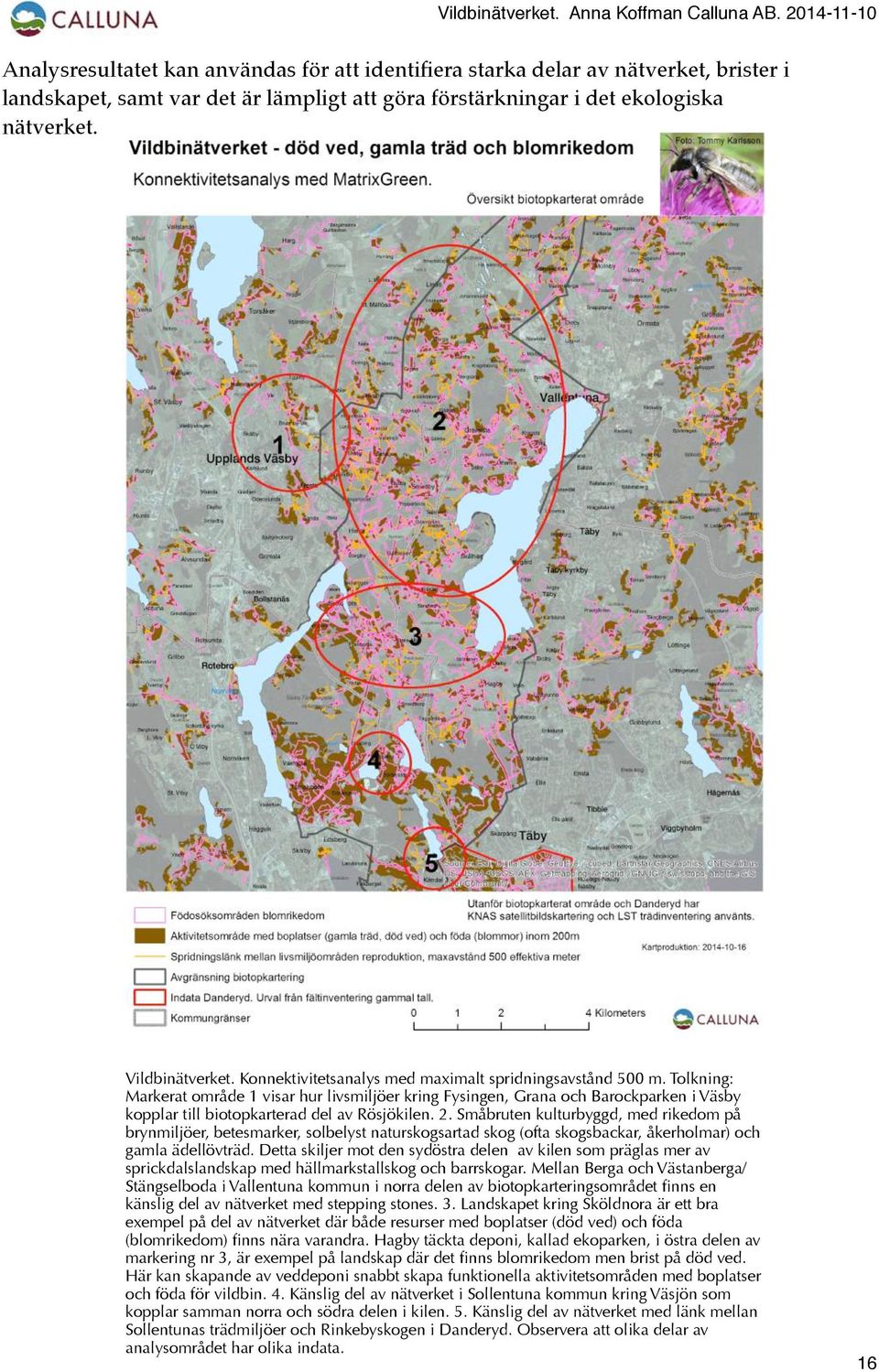 Tolkning: Markerat område 1 visar hur livsmiljöer kring Fysingen, Grana och Barockparken i Väsby kopplar till biotopkarterad del av Rösjökilen. 2.