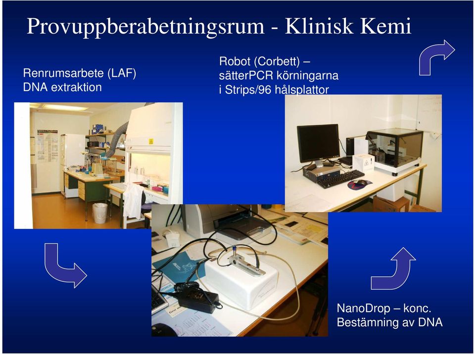 (Corbett) sätterpcr körningarna i