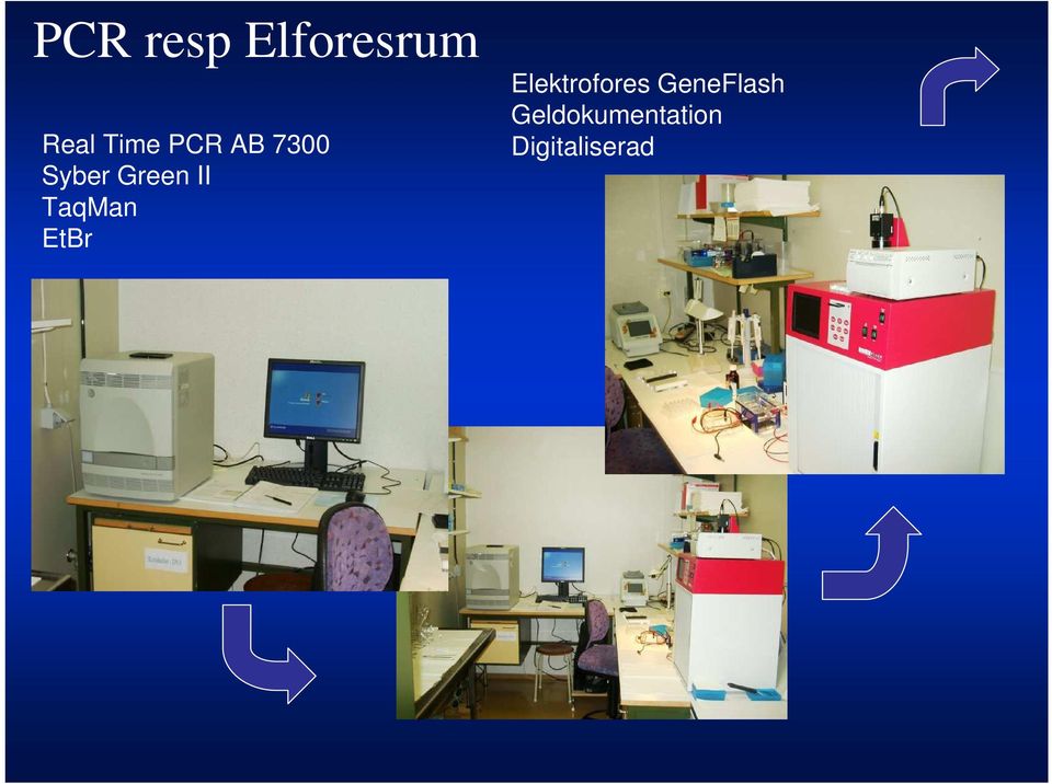 TaqMan EtBr Elektrofores