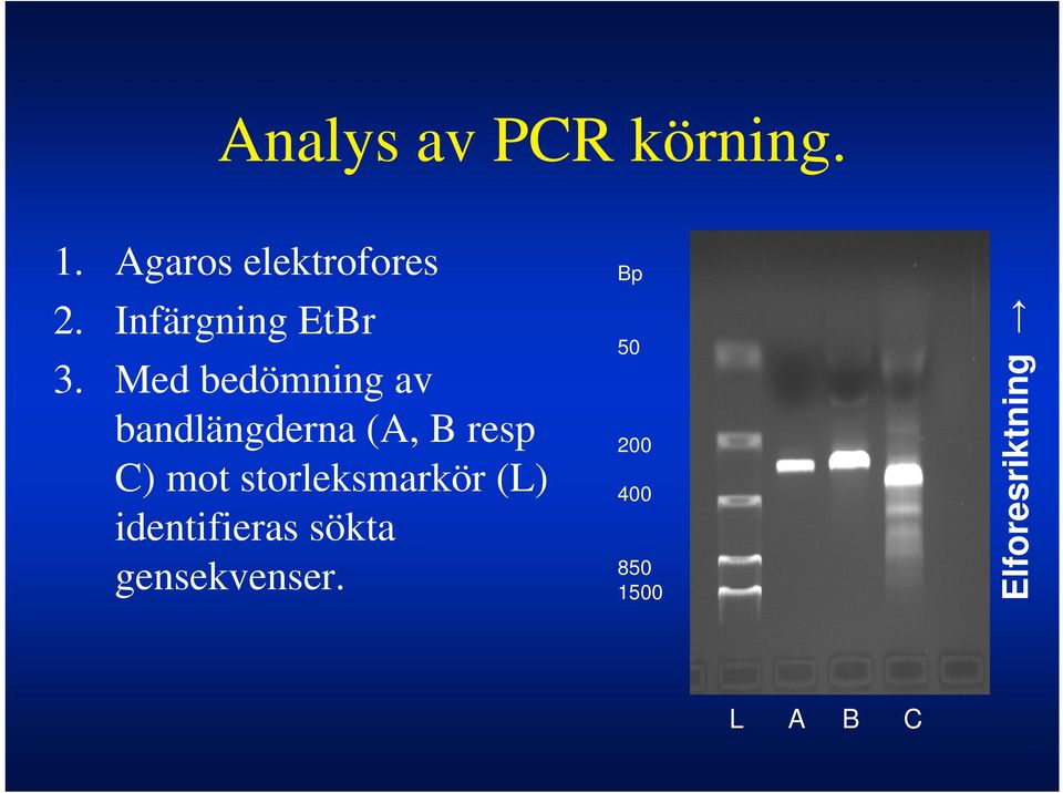 Med bedömning av bandlängderna (A, B resp C) mot