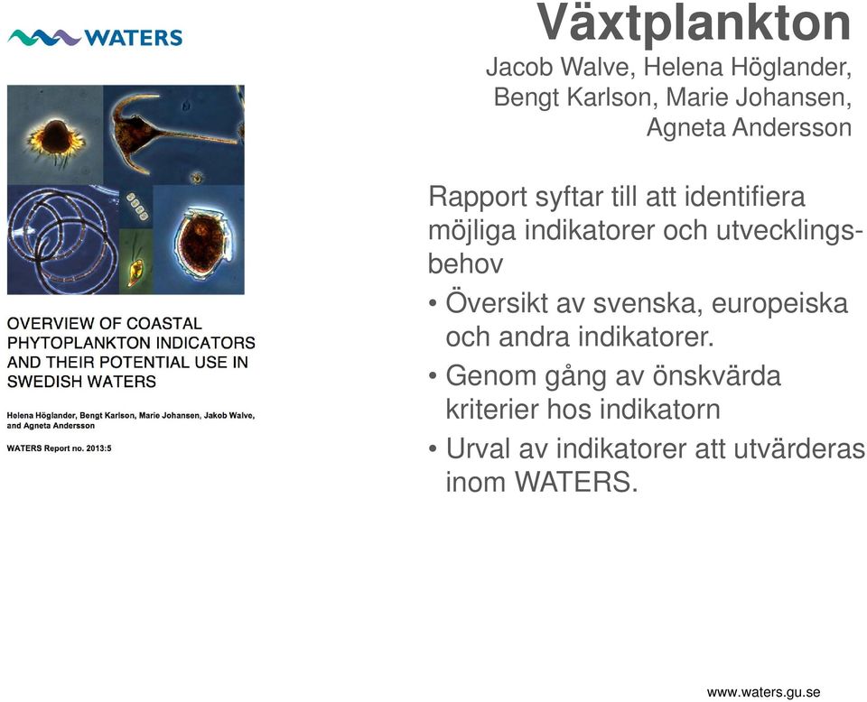 utvecklingsbehov Översikt av svenska, europeiska och andra indikatorer.