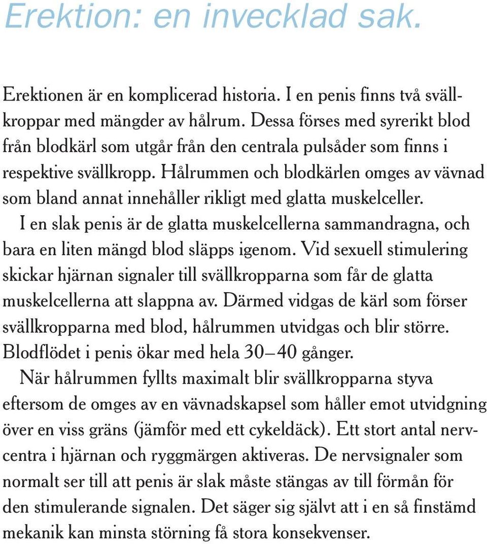 Hålrummen och blodkärlen omges av vävnad som bland annat innehåller rikligt med glatta muskelceller.