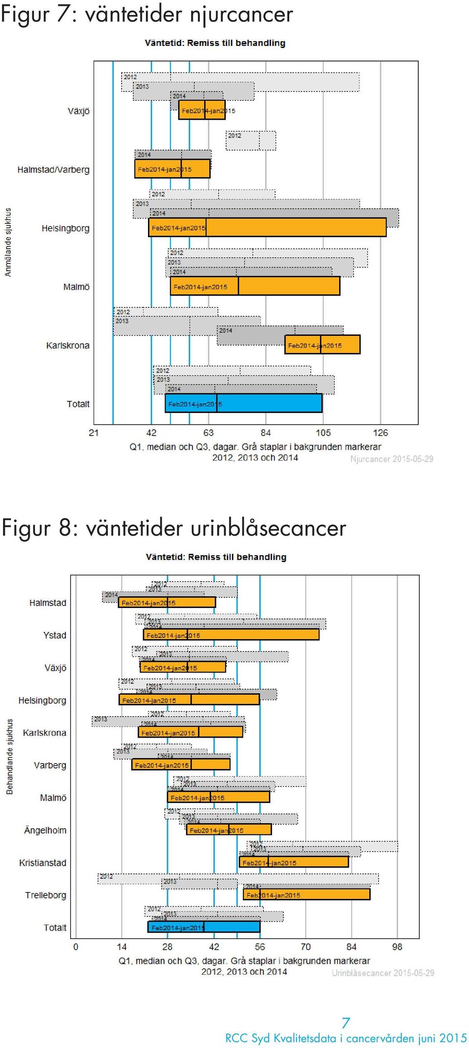 njurcancer Figur