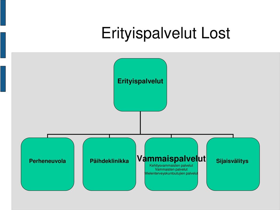Kehitysvammaisten palvelut Vammaisten