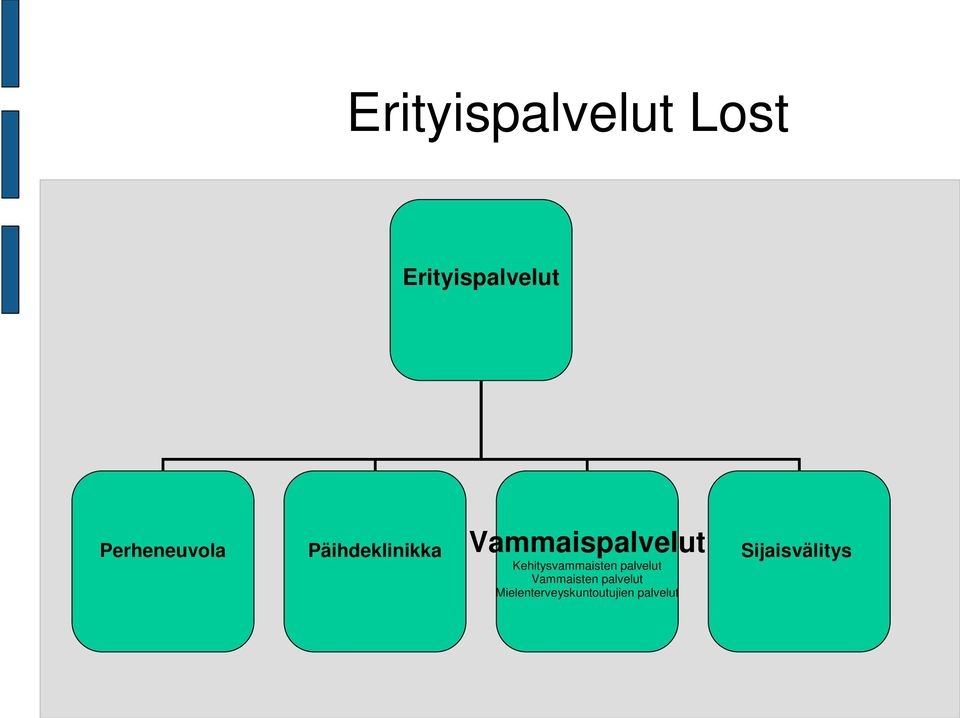 Kehitysvammaisten palvelut Vammaisten