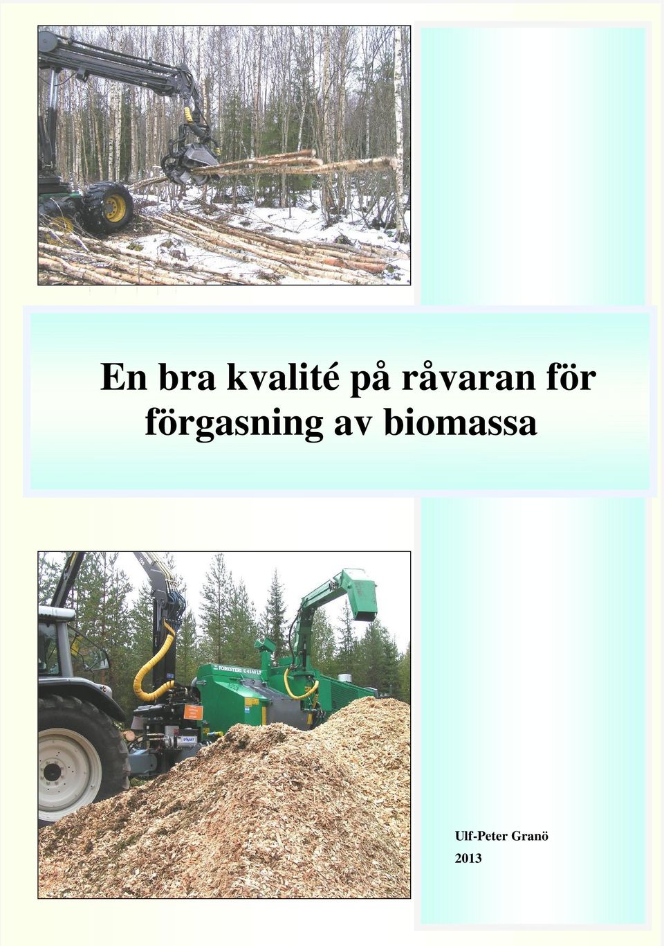 förgasning av