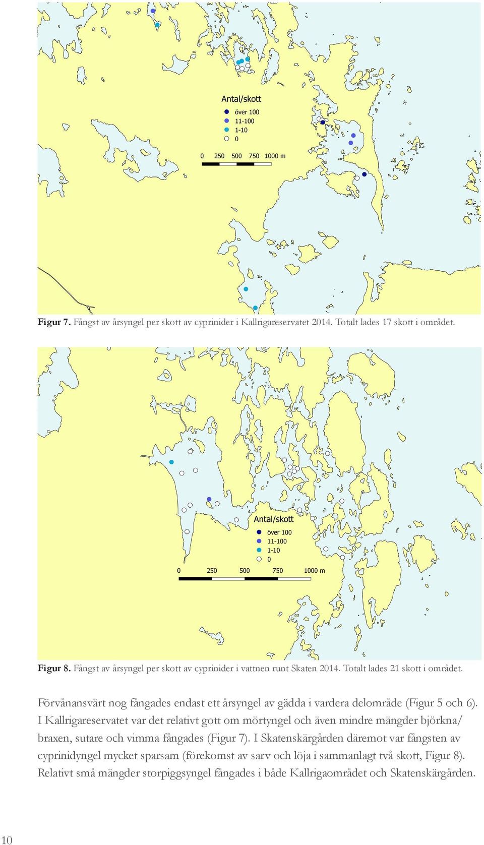 Förvånansvärt nog fångades endast ett årsyngel av gädda i vardera delområde (Figur 5 och 6).