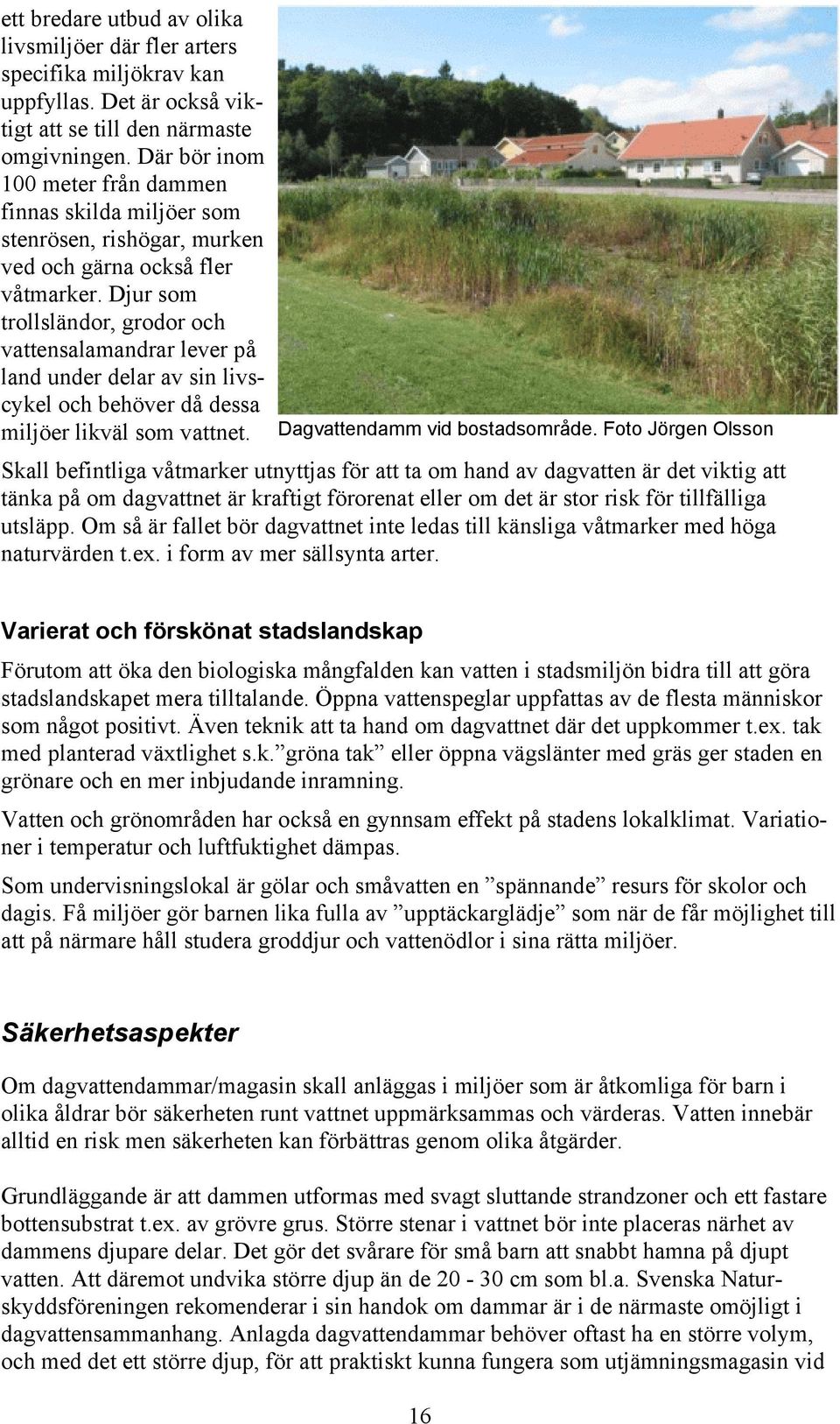 Djur som trollsländor, grodor och vattensalamandrar lever på land under delar av sin livscykel och behöver då dessa miljöer likväl som vattnet. Dagvattendamm vid bostadsområde.