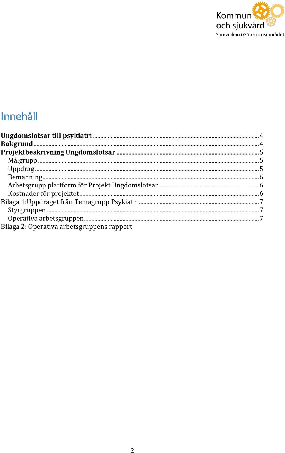 .. 6 Arbetsgrupp plattform för Projekt Ungdomslotsar... 6 Kostnader för projektet.