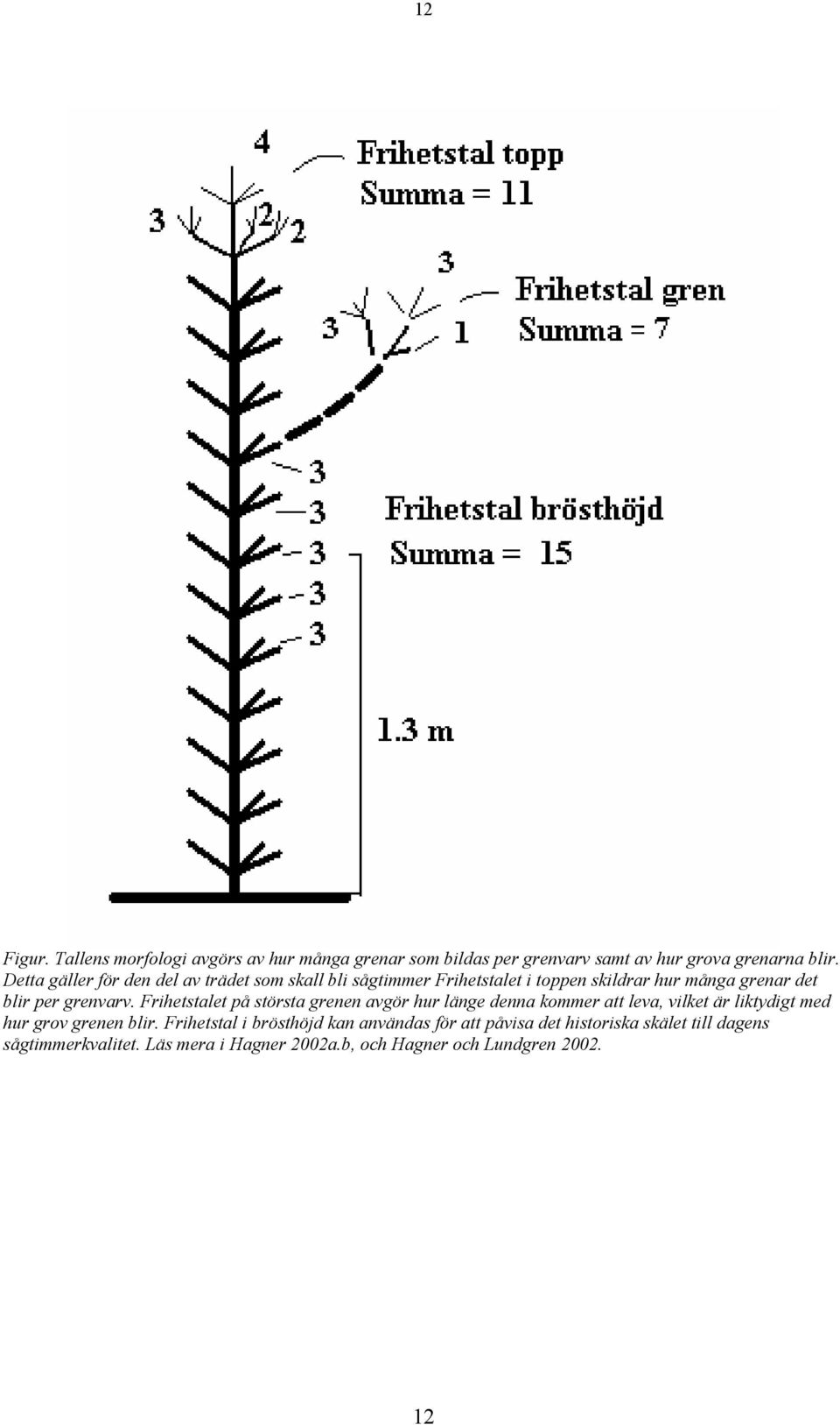 Frihetstalet på största grenen avgör hur länge denna kommer att leva, vilket är liktydigt med hur grov grenen blir.