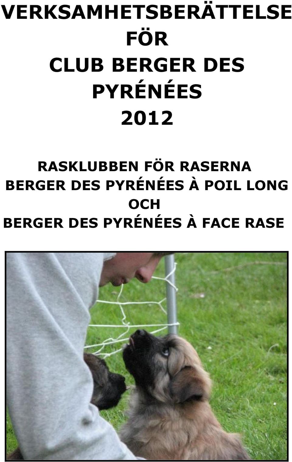 FÖR RASERNA BERGER DES PYRÉNÉES À