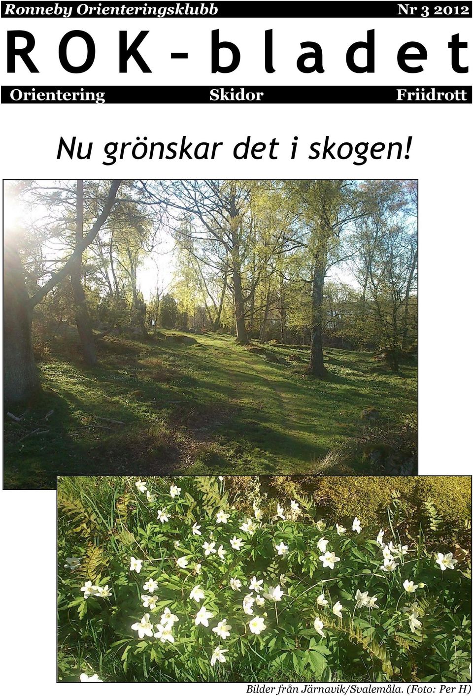 Friidrott Nu grönskar det i skogen!