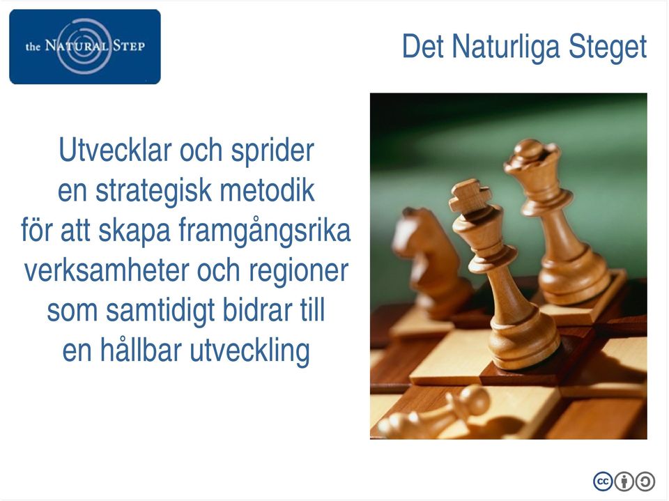 skapa framgångsrika verksamheter och