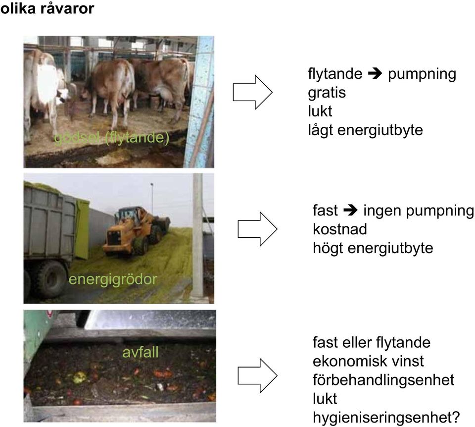 energiutbyte energigrödor avfall fast eller flytande