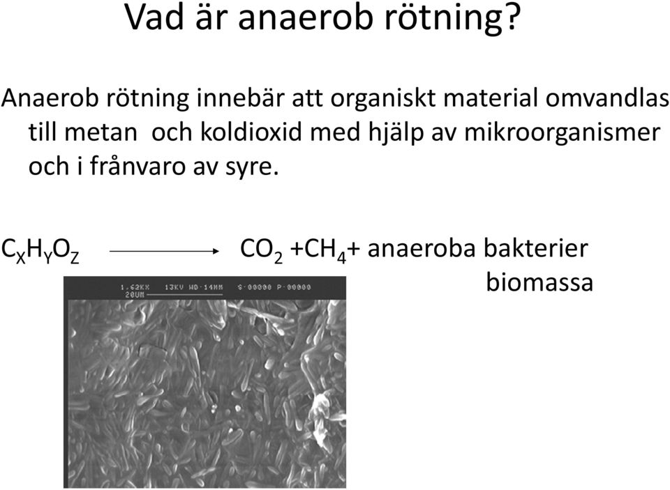 omvandlas till metan och koldioxid med hjälp av