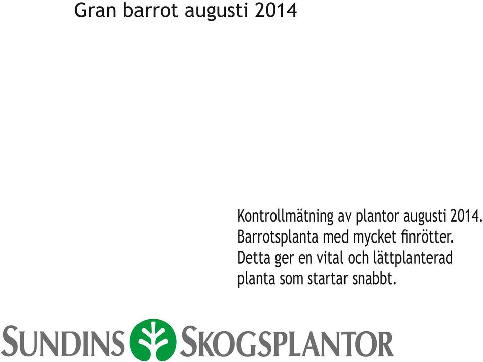 Barrotsplanta med mycket ﬁnrötter.